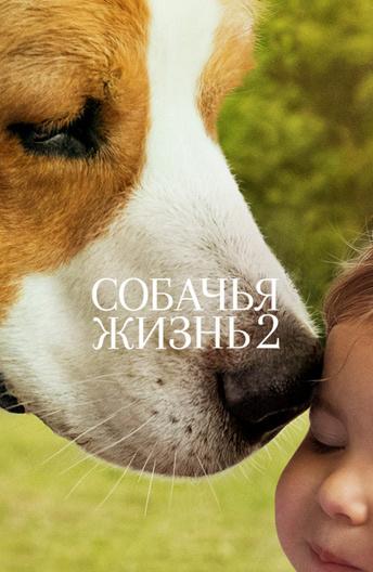 Фильм Собачья жизнь 2 (2019) смотреть онлайн в HD качестве